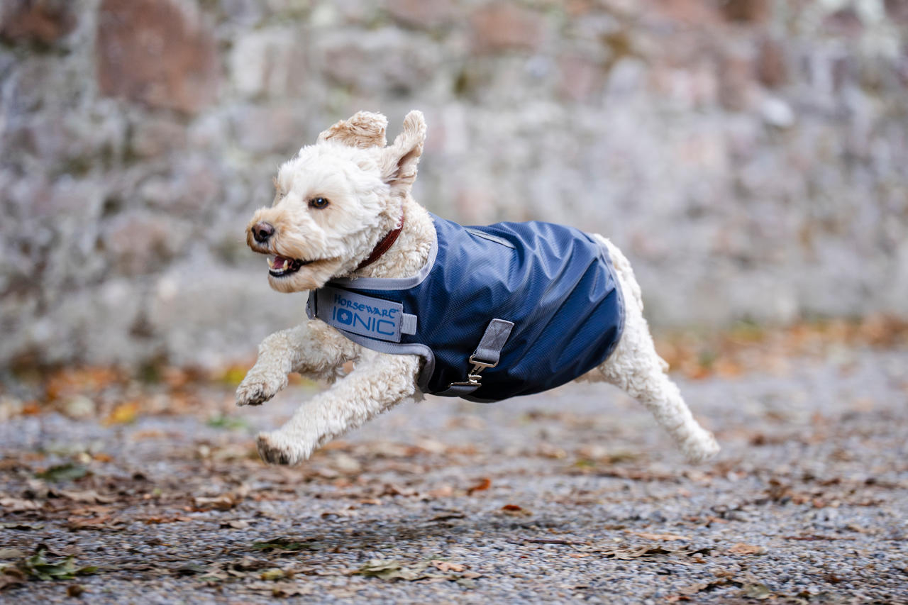 Horseware Manteau pour Chien Ionic Therapy 50g 