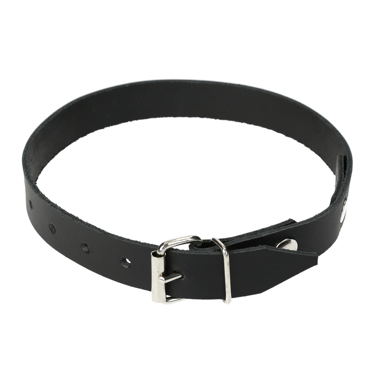 Collier pour moutons, large de 2 cm