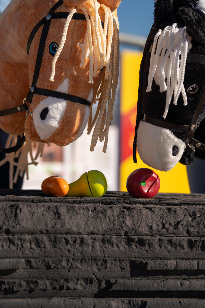 HKM Aliments en bois - Hobby Horsing