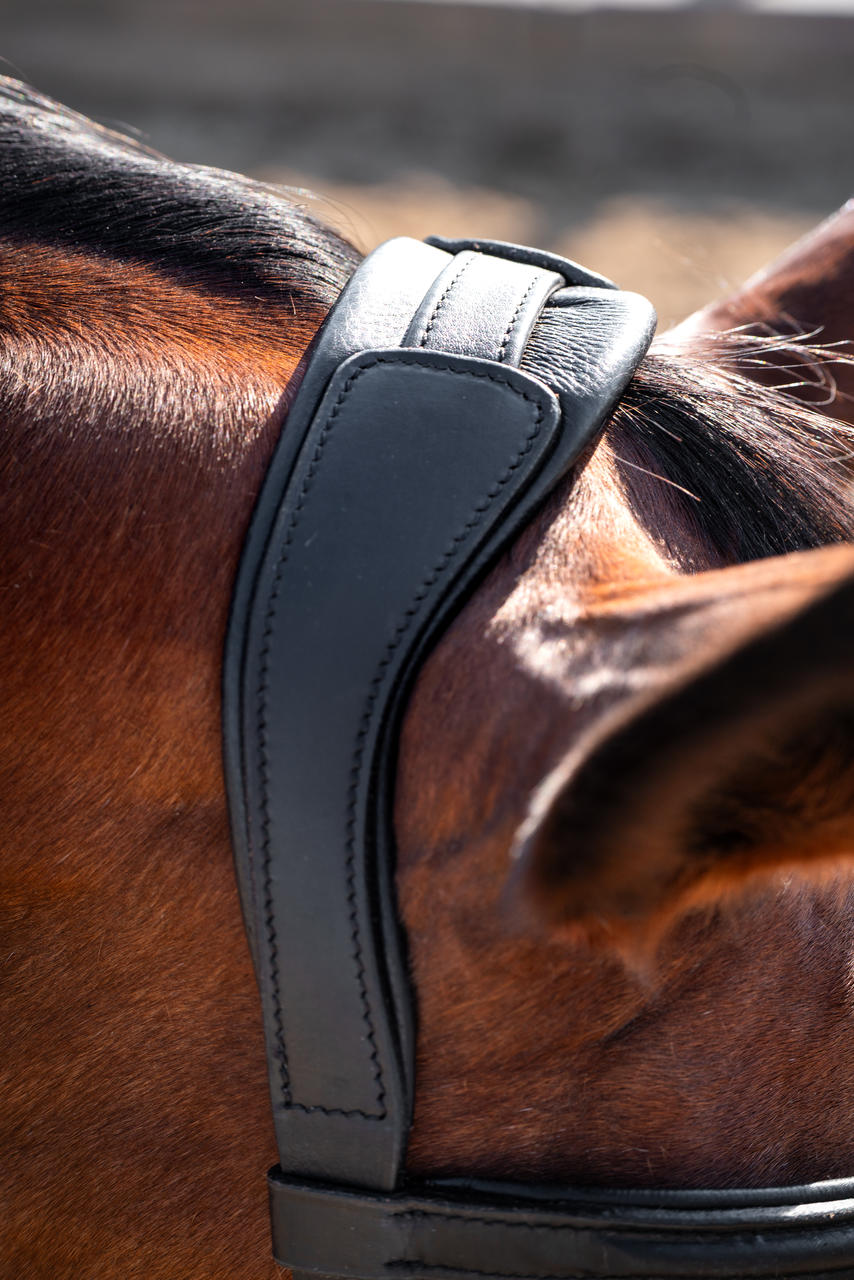 Waldhausen Caveçon ANATOMIC en cuir