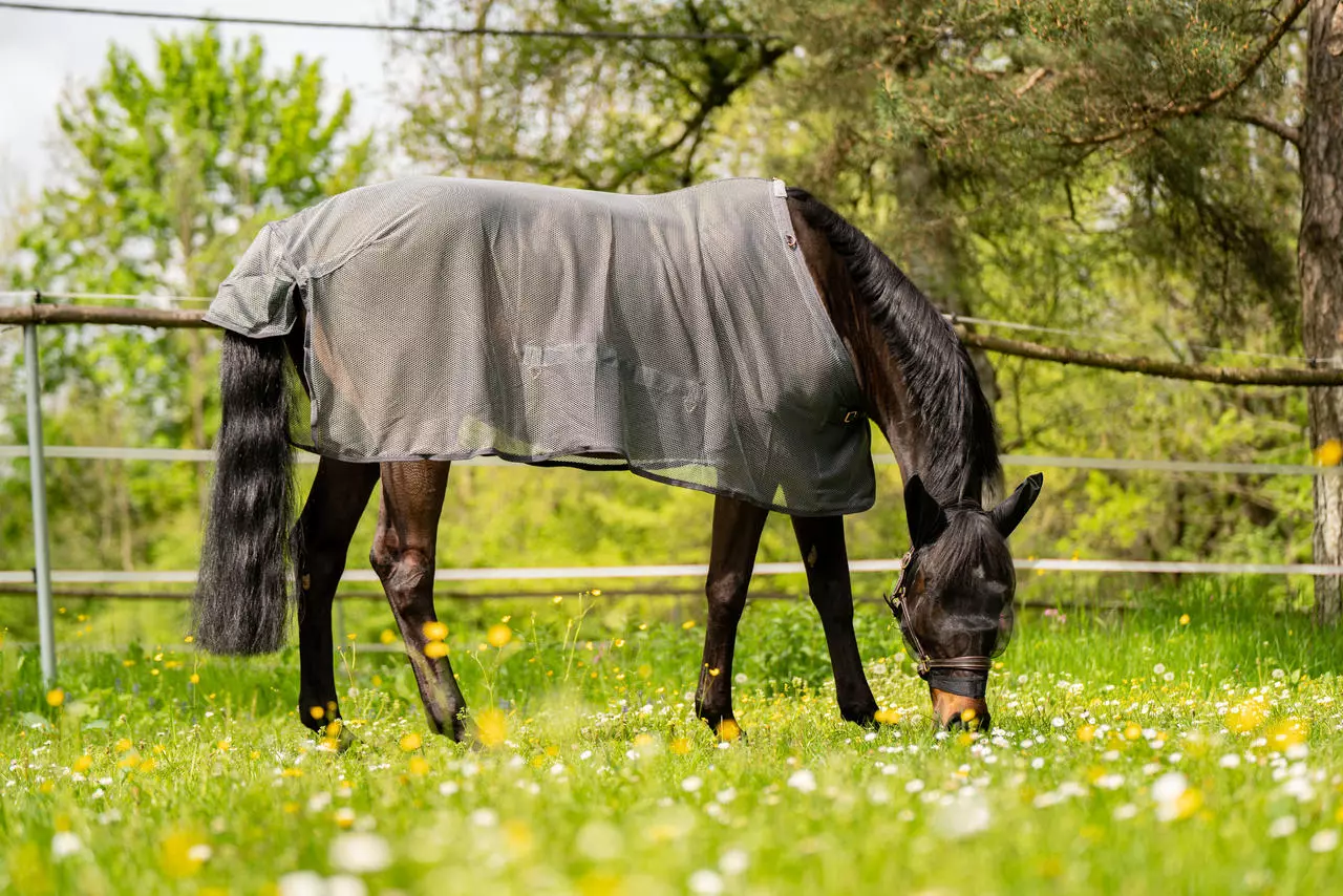 Bonnet anti-mouche cheval Pegasus - Waldhausen - WALDHAUSEN - Bonnet