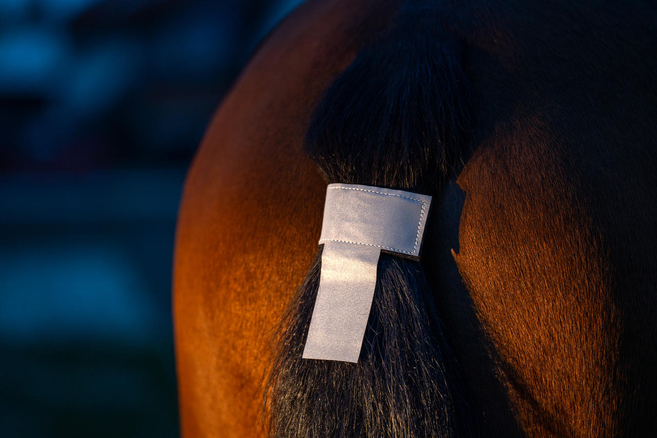 Waldhausen Bande réfléchissante pour la queue des chevaux