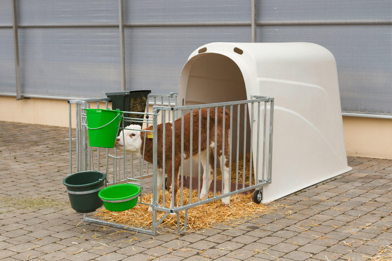 Kerbl CalfHouse Premium Plus