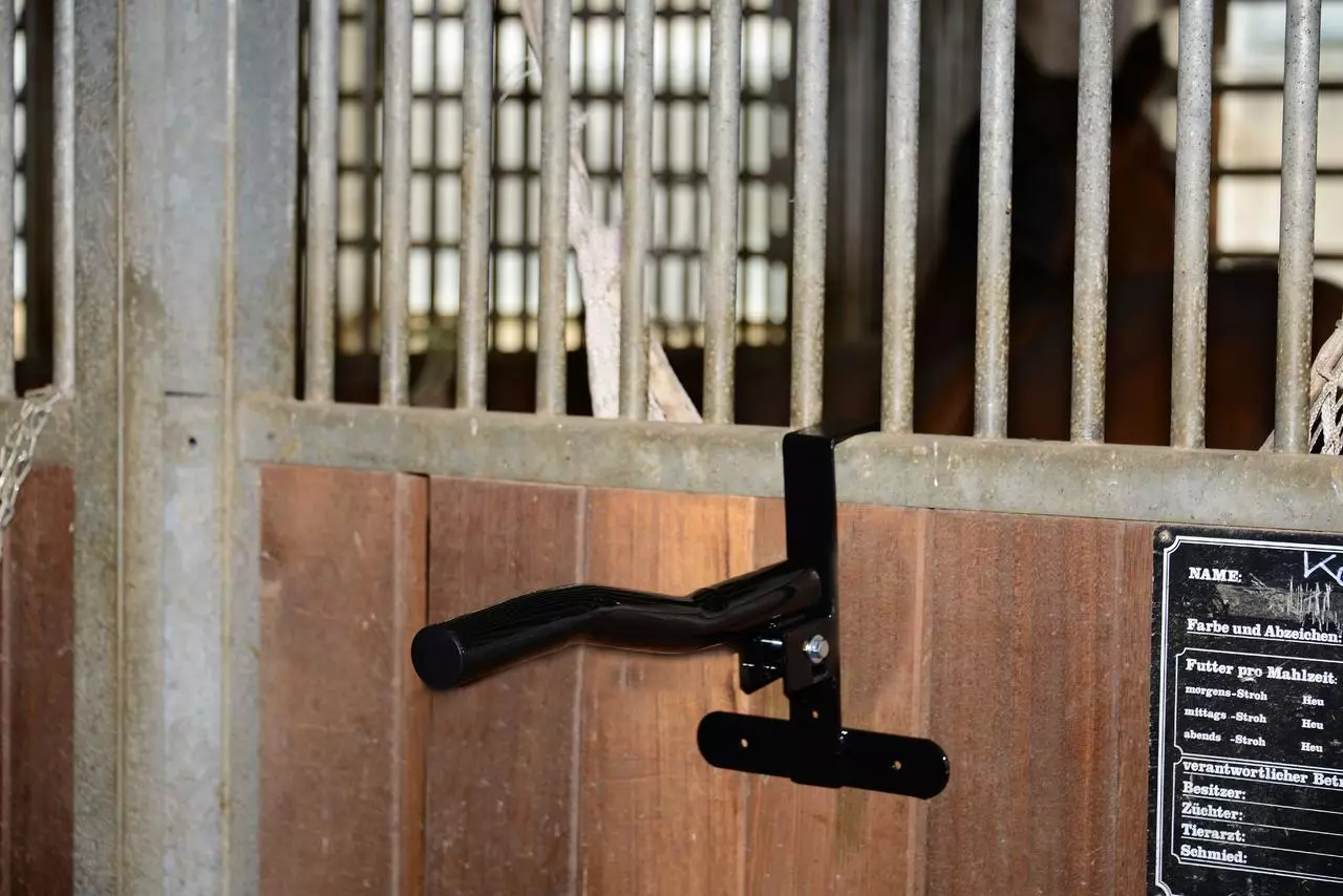 Support De Selle Cheval Robuste Pliable En Fer - Porte-Selle Multifonctionnel Pour Écurie Et Voiture