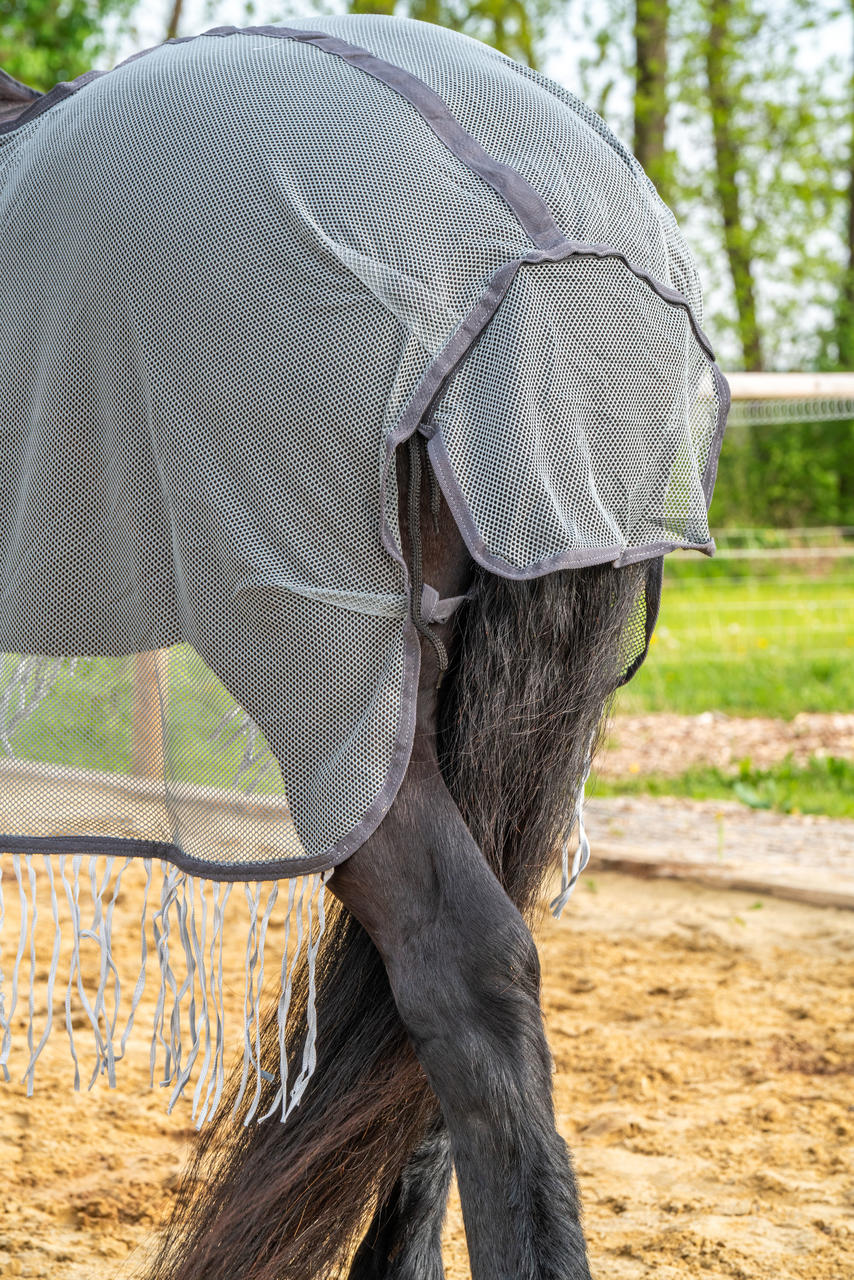 WAHL-Hausmarke Couvre-reins anti-mouches Protect avec franges