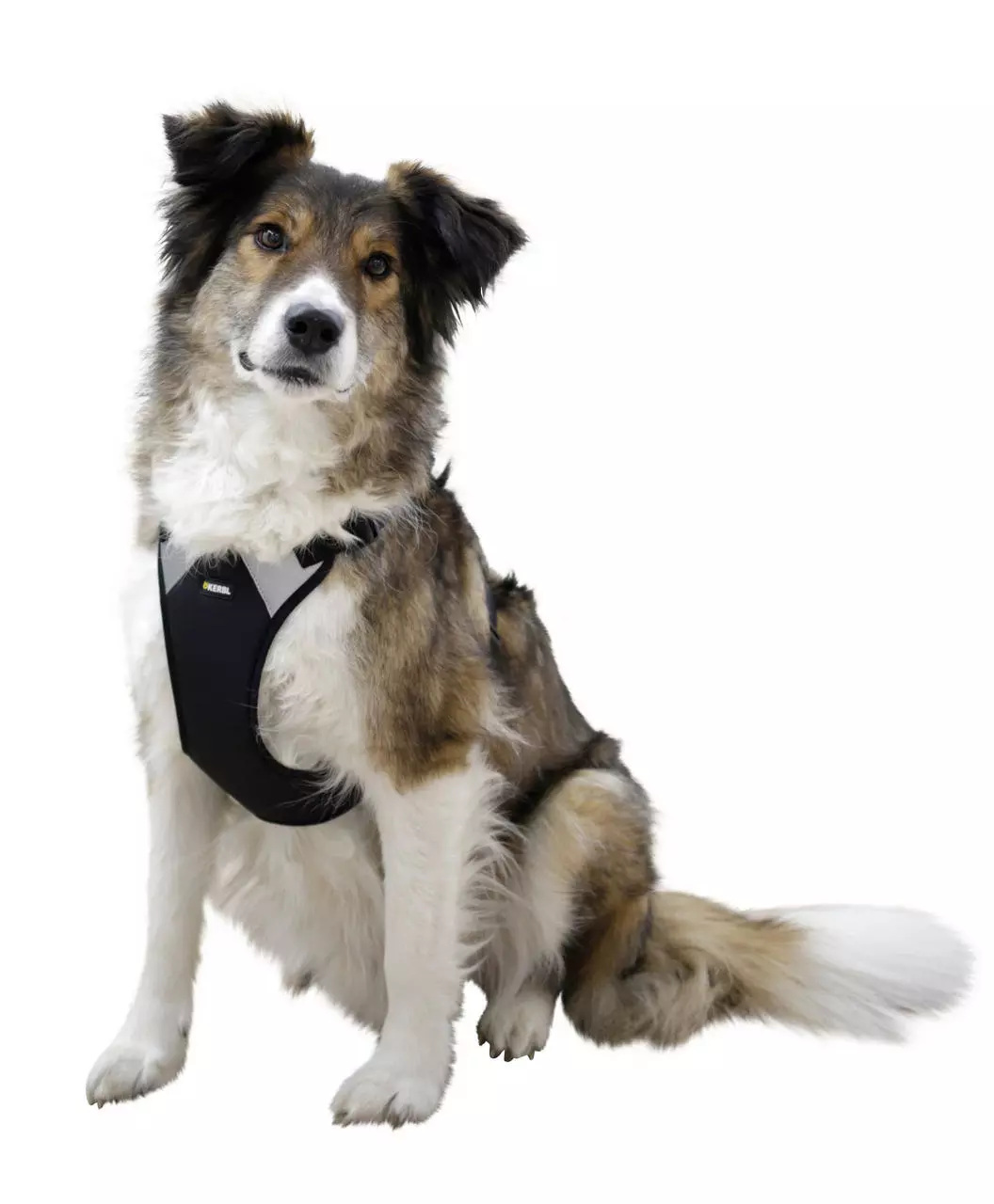 Kerbl Harnais pour chien Pulsive