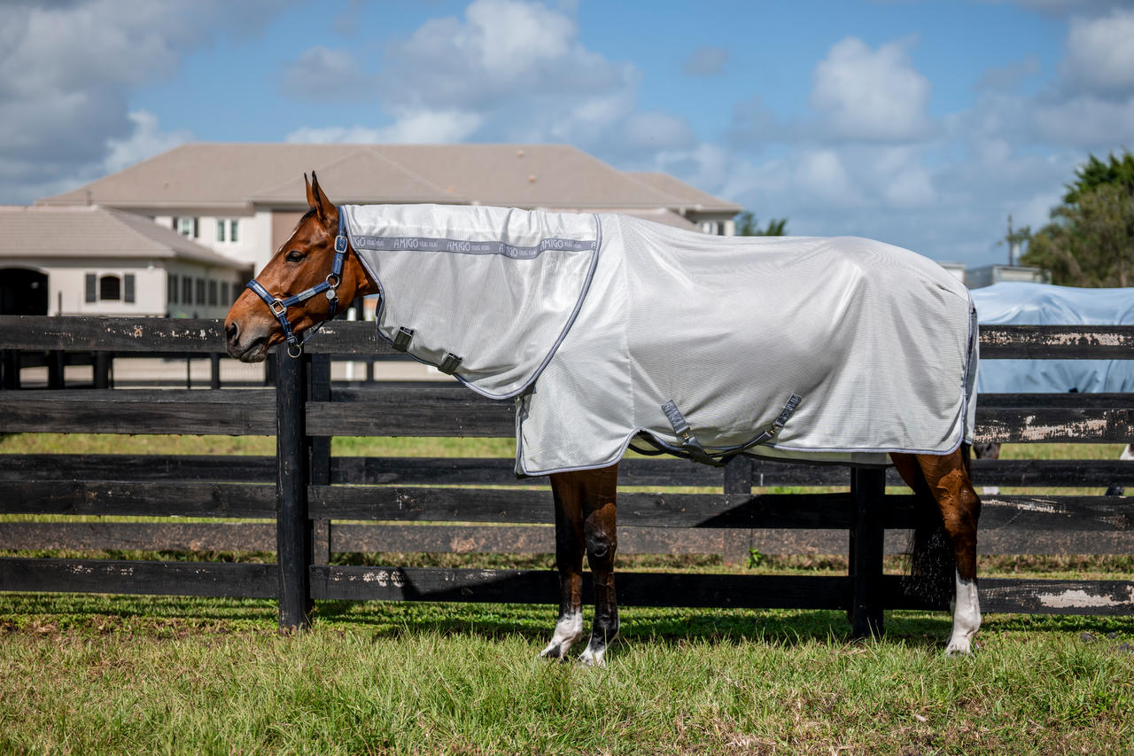 Horseware Couverture anti-mouches Amigo XL Plus