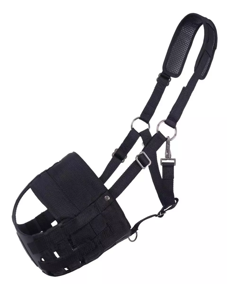 QHP Muselière cheval avec narines