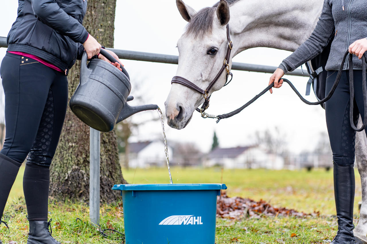 WAHL-Hausmarke Abreuvoir et mangeoire – 60 l