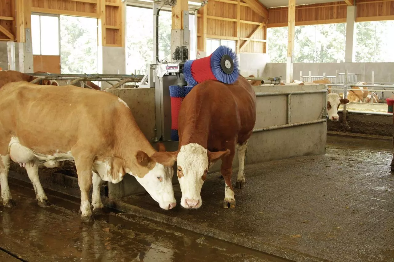 Kerbl Brosse à vache HAPPYCOW Duo