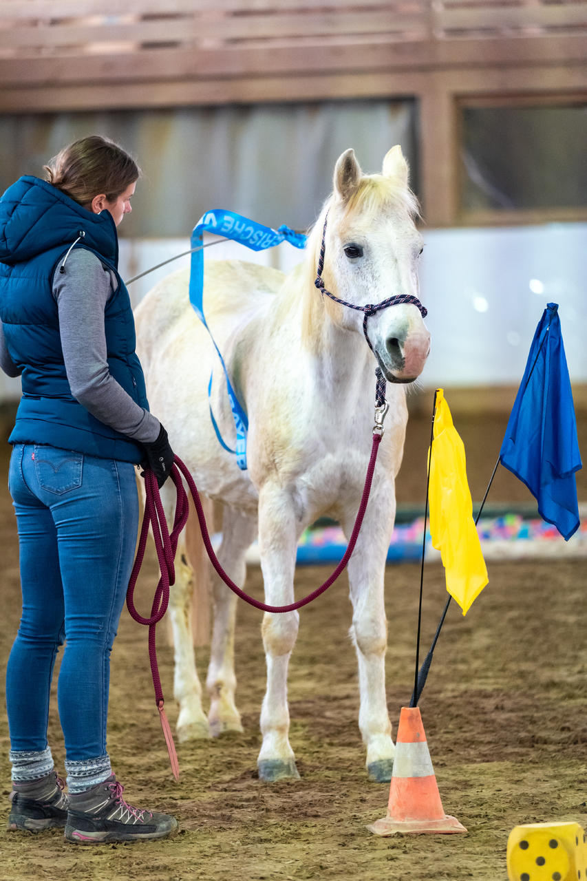 QHP Bâton d'entraînement avec drapeau