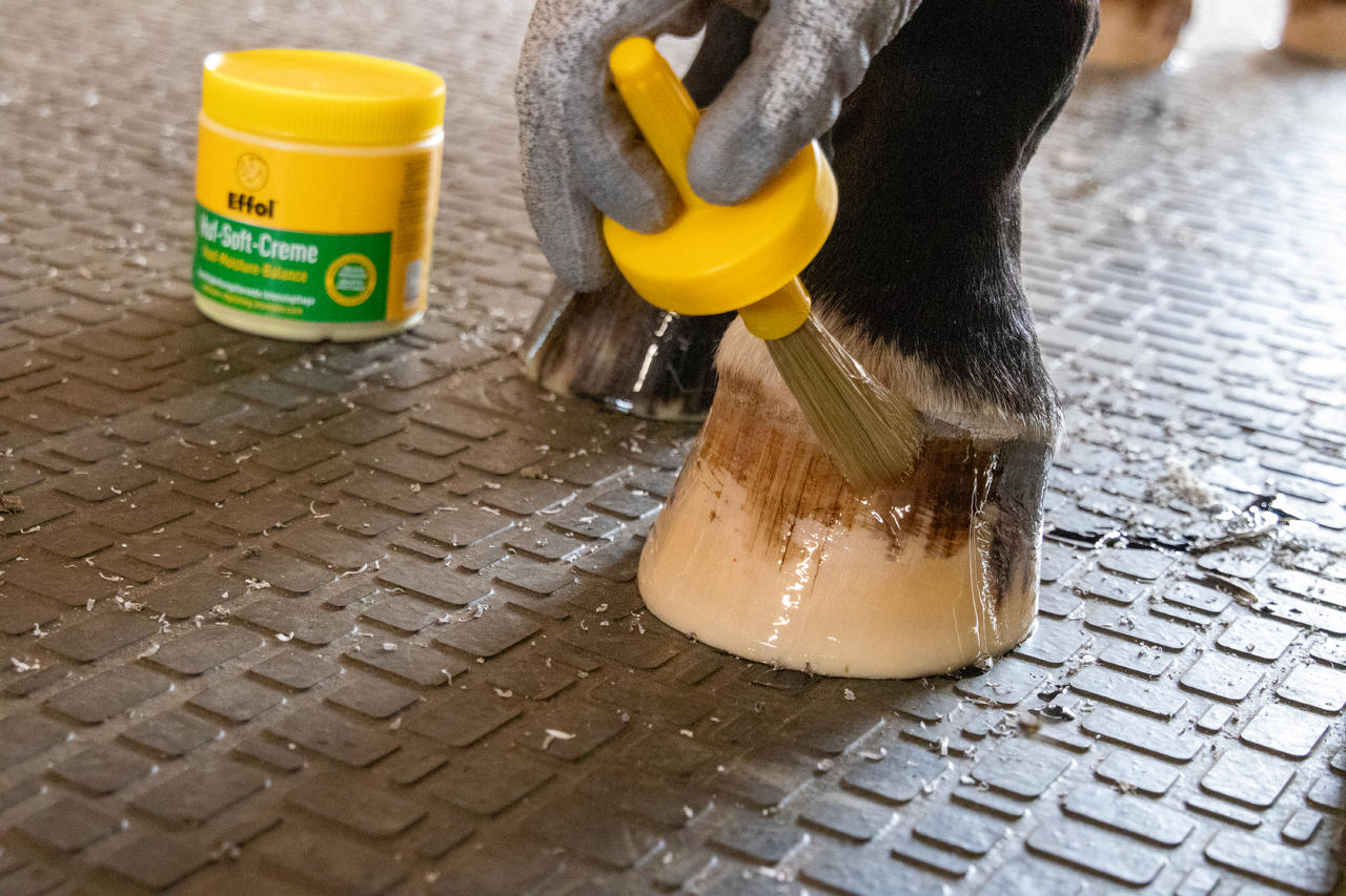 Effol  Crème pour sabots Hufsoft, pot de 500ml
