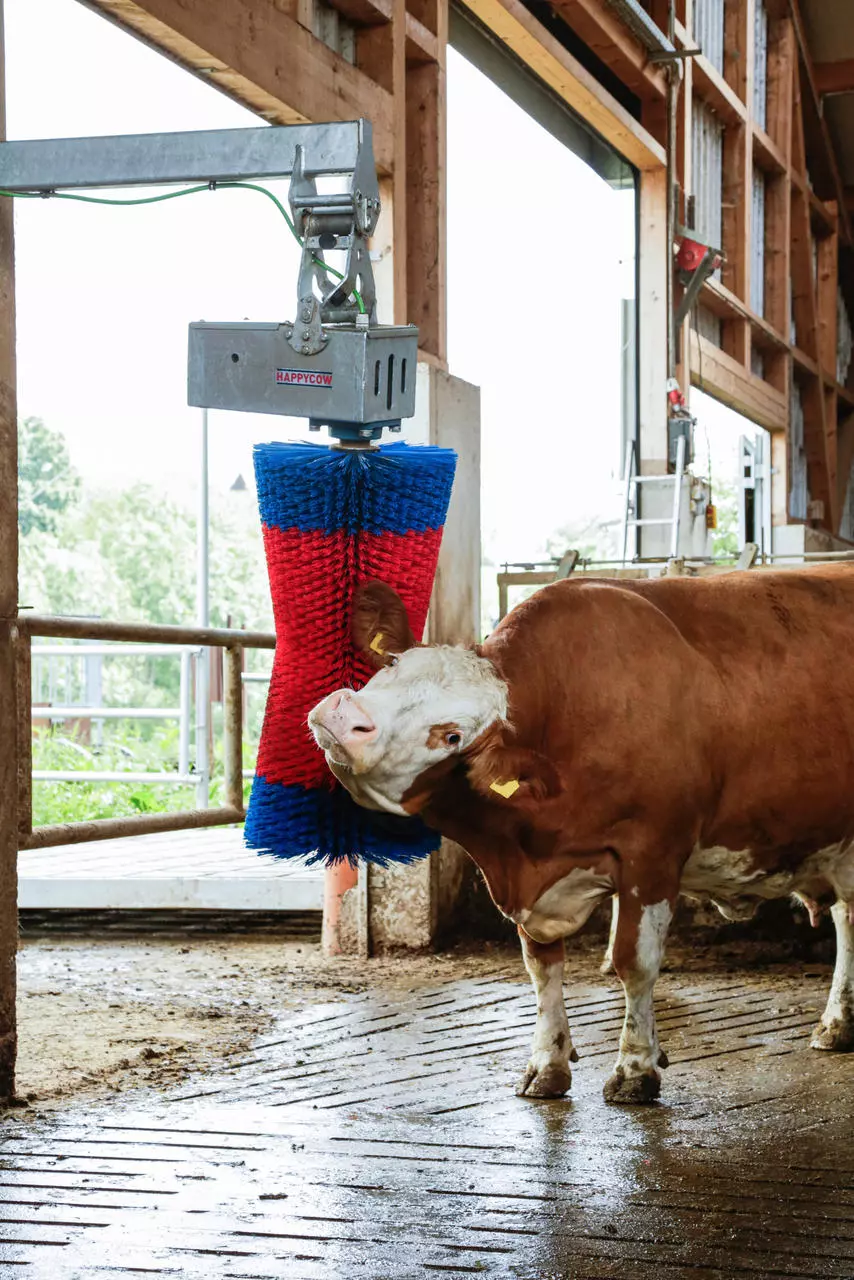 Kerbl Brosse à vaches HAPPYCOW MaxiSwing