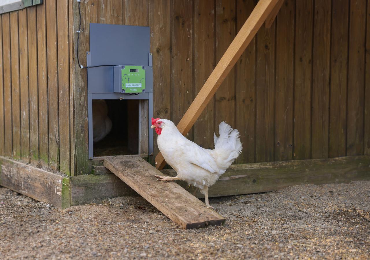 Kerbl Porte de poulailler automatique EasyProtect