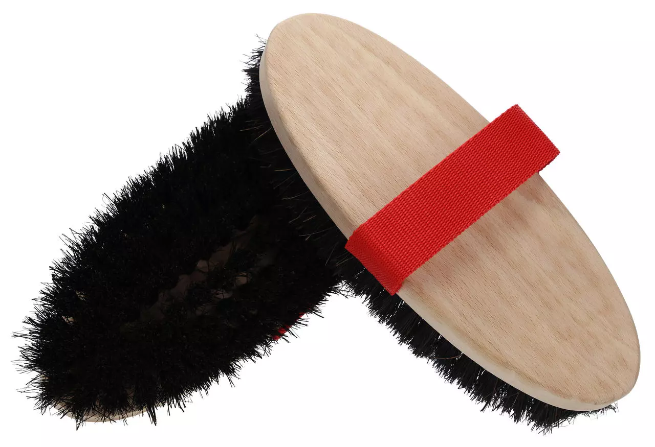WAHL-Hausmarke Brosse à bétail Arenga WAHL-Hausmarke Brosse à bétail Arenga