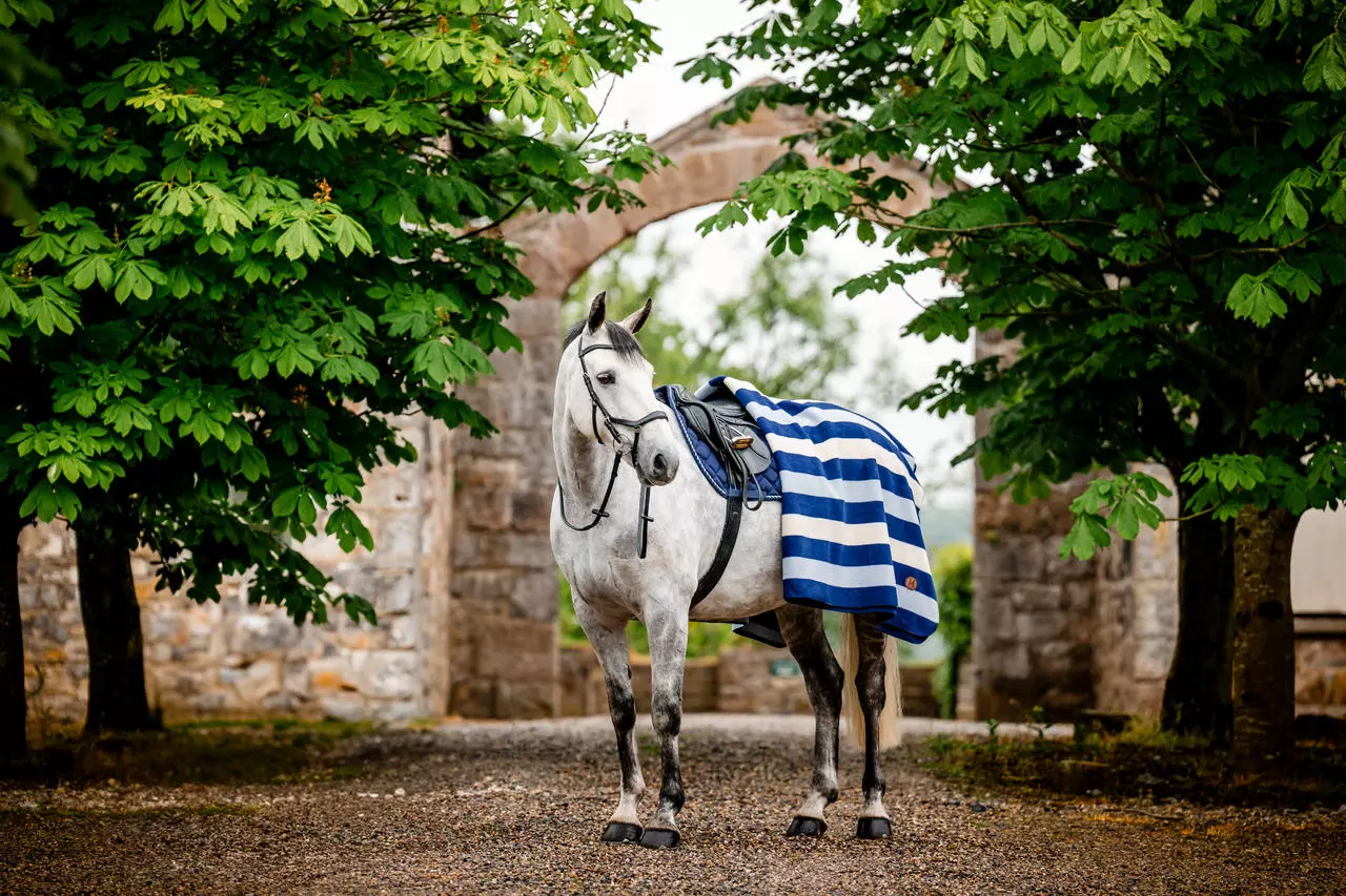 Rouleau De Fente Shires Pour Poney (taille D) - Occasion état Correct