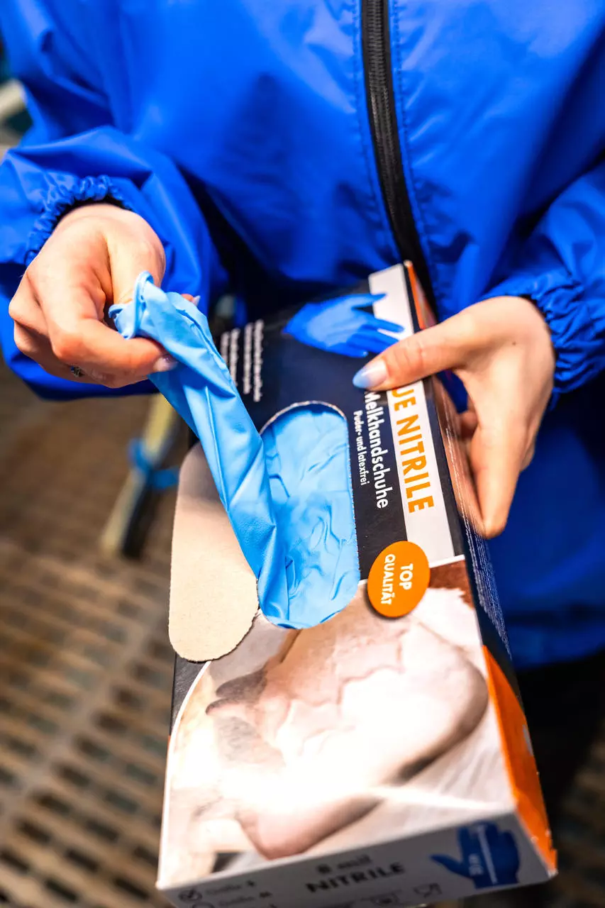 WAHL-Hausmarke Gants à usage unique Nitrile Profi