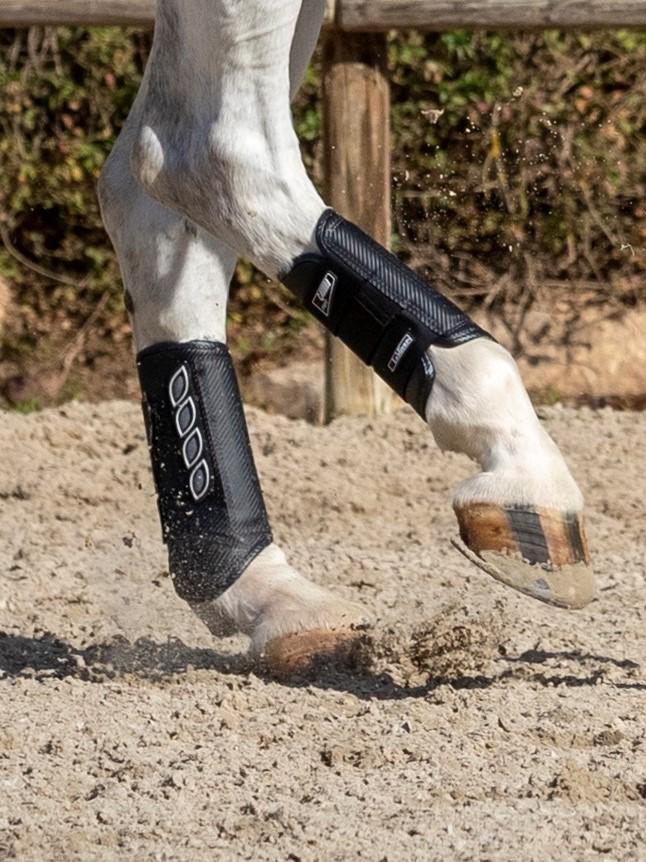 LeMieux Guêtres arrière Carbon Air XC