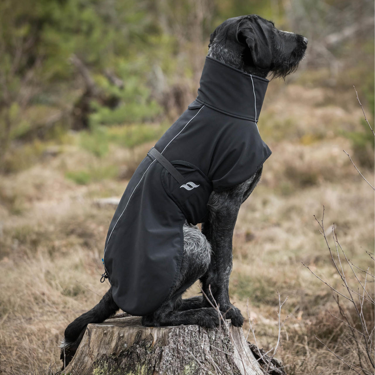 Back on Track Bark Allround Manteau pour chien