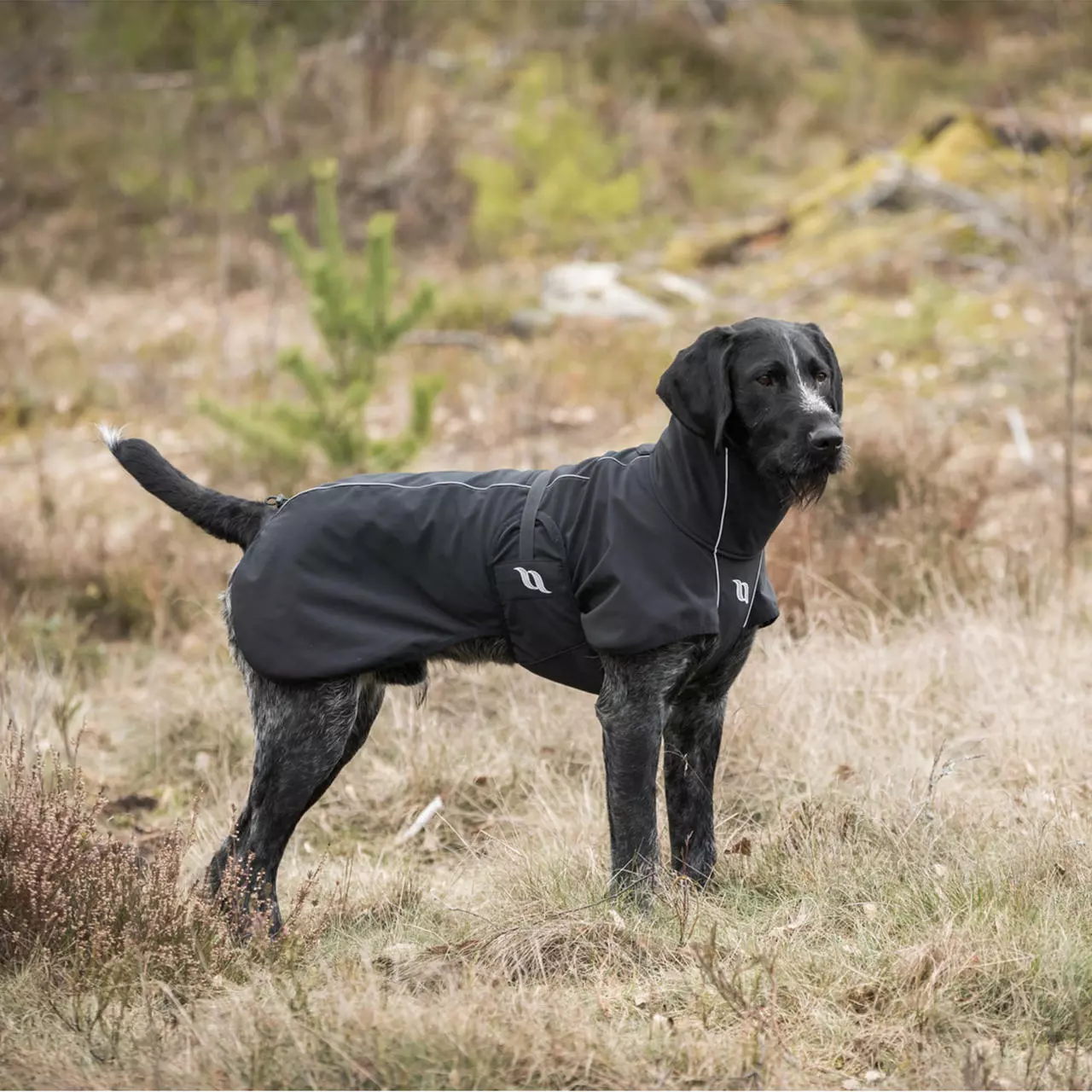 Back on Track Bark Allround Manteau pour chien