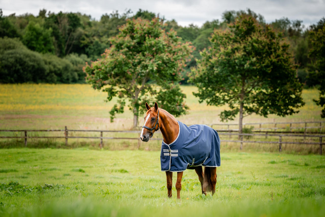 Horseware Amigo Ripstop 900D Turnout 50 g