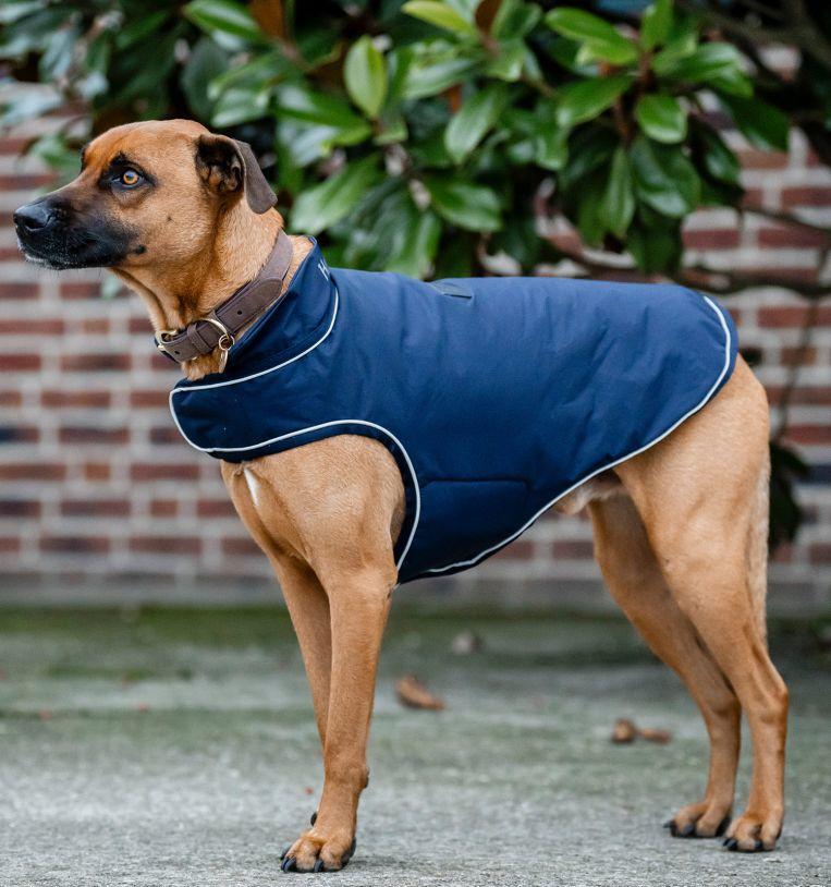 Horseware Imperméable pour Chien Signature 100g