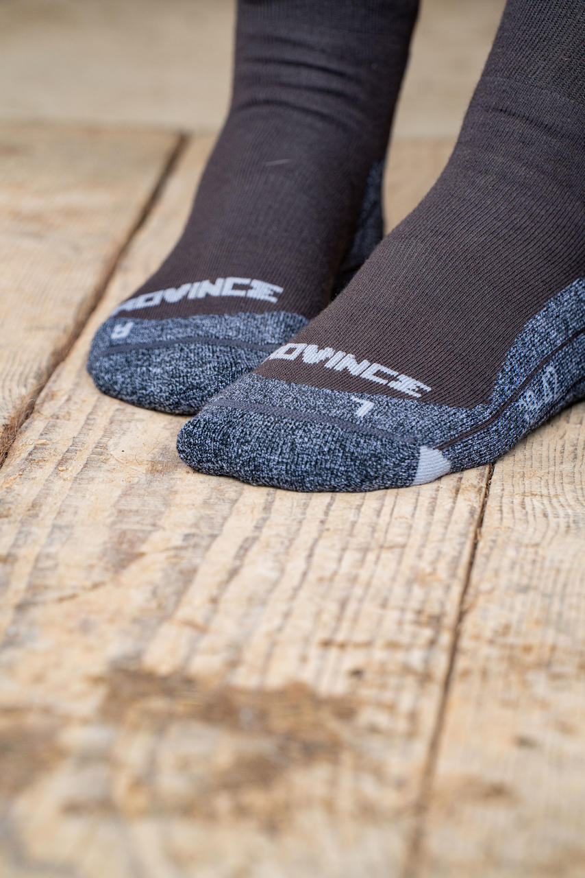 Rovince Chaussettes Shield