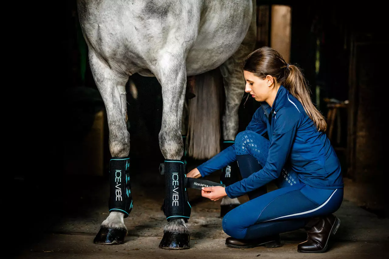Horseware Bandages Ice-Vibe pour jambes