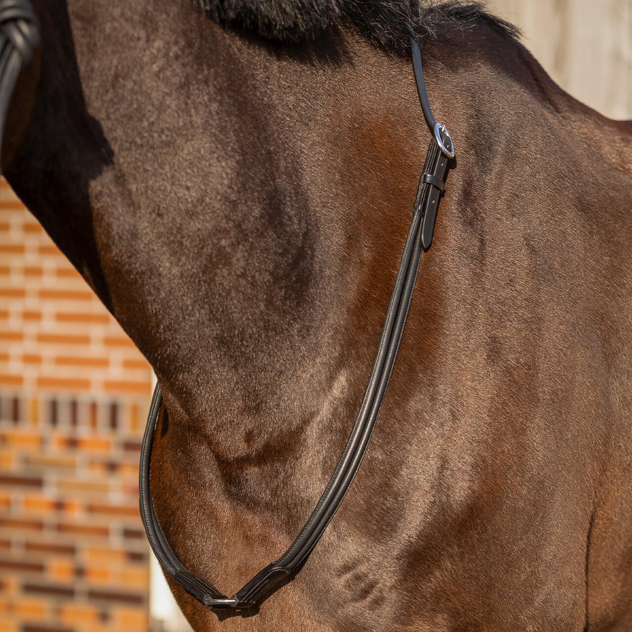 QHP Collier d'encolure en cuir Liberta