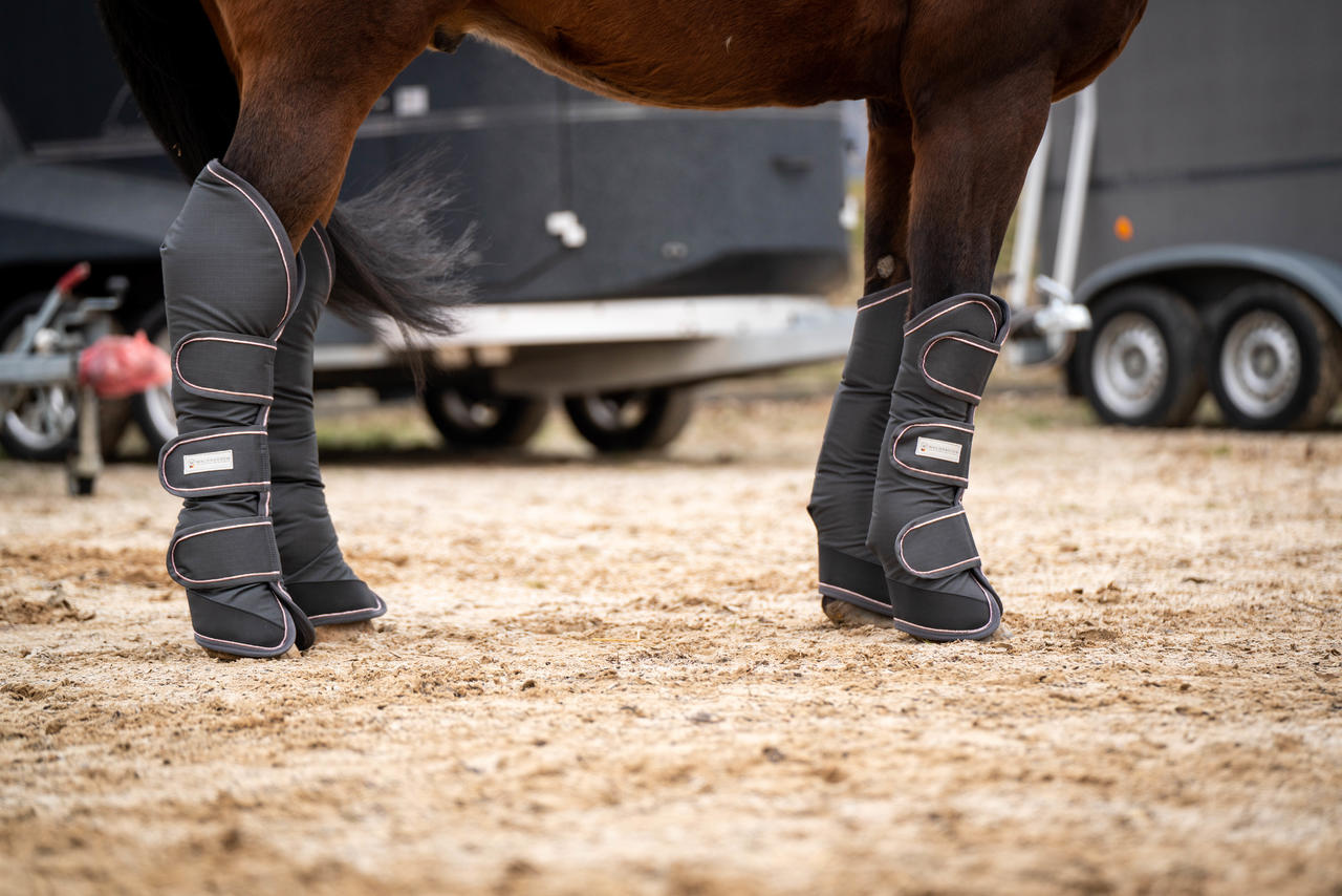 Waldhausen Guêtres de Transport Comfort, Lot de 4