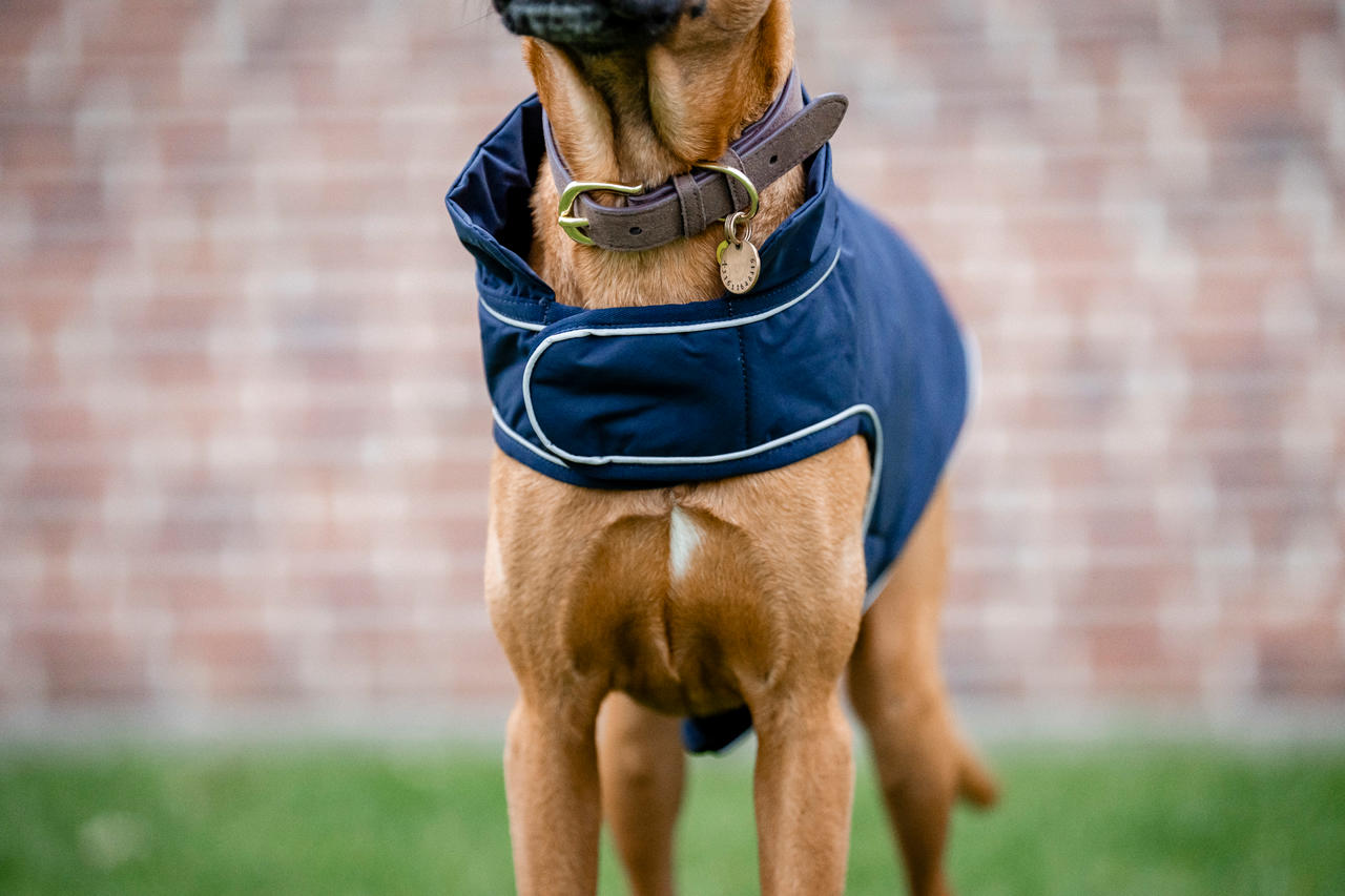 Horseware Imperméable pour Chien Signature 100g