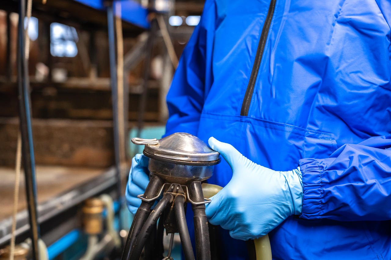 WAHL-Hausmarke Gants à usage unique Nitrile Top
