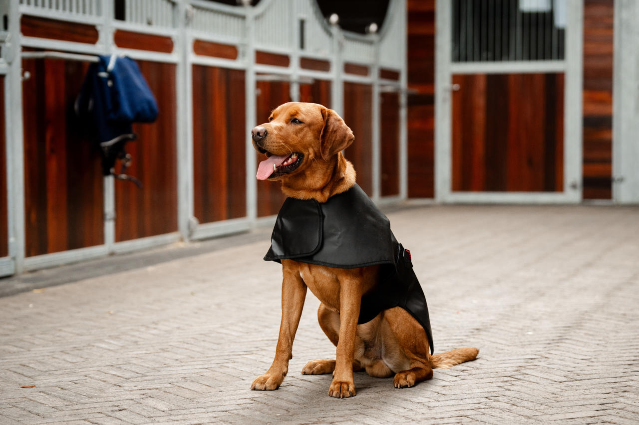 Horseware Manteau de Thérapie par Lumière Rouge LED pour Animaux de Compagnie