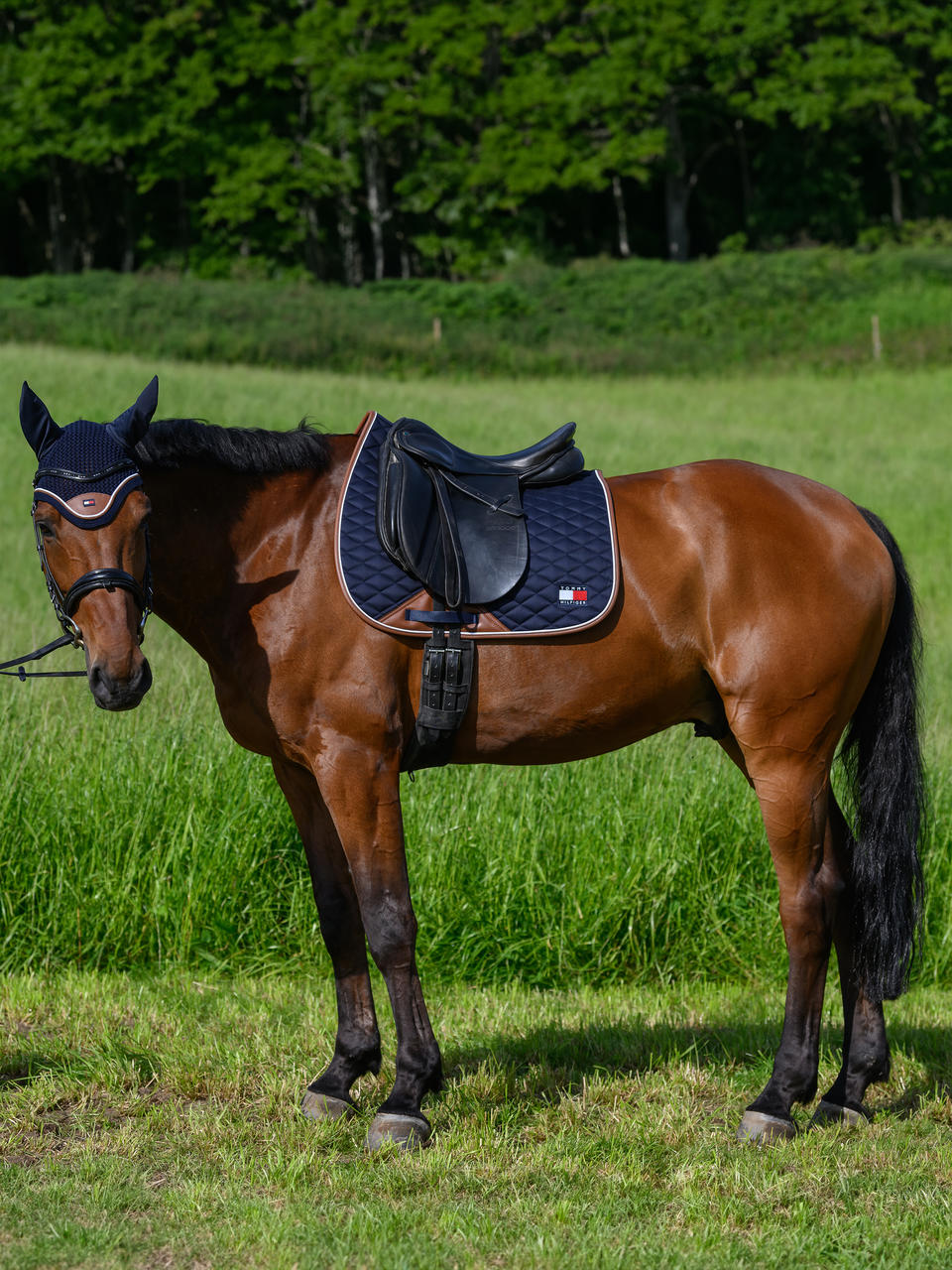 Tommy Hilfiger Tapis de selle Princeton