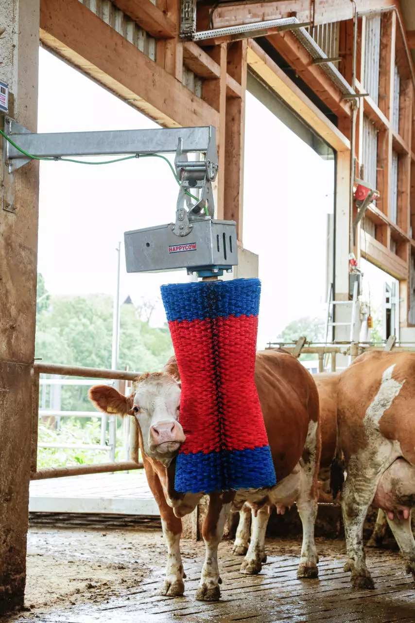 Kerbl Brosse à vaches HAPPYCOW MaxiSwing