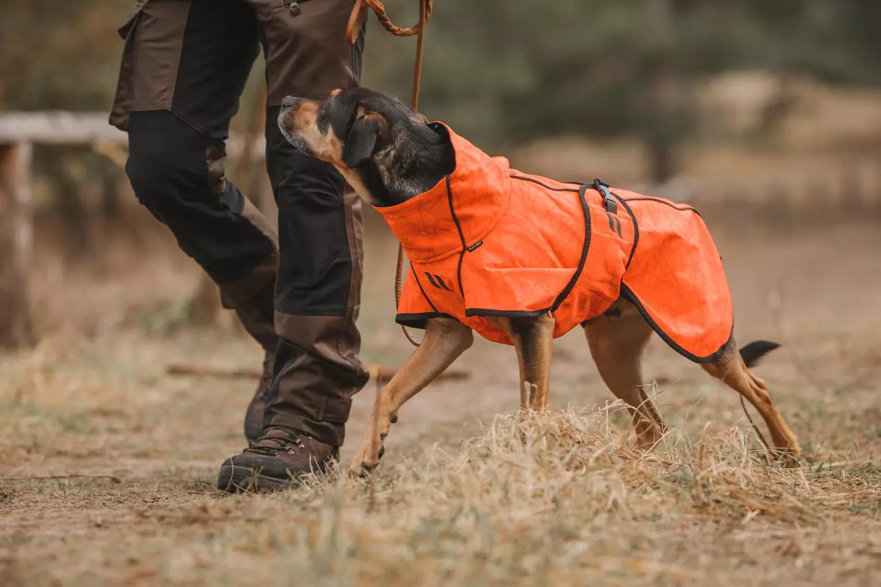 Back on Track Bark Allround Manteau pour chien