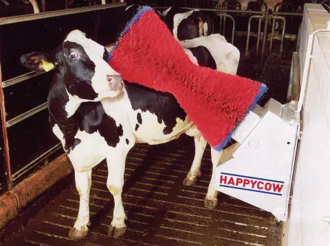 Kerbl Brosse à vaches HAPPYCOW Uno, brosses PA