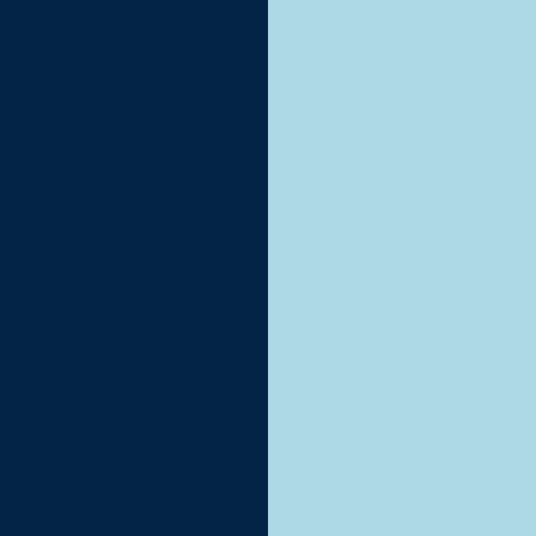 bleu marine/bleu clair