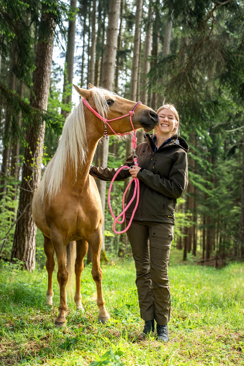 Rovince Veste anti-tiques - Softshell ERGOLINE