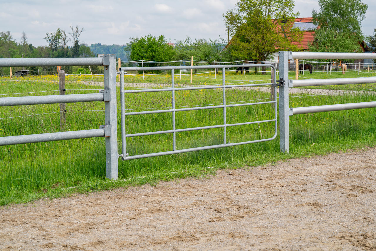 WAHL-Hausmarke Barrière d'herbage réglable Standard - différentes tailles