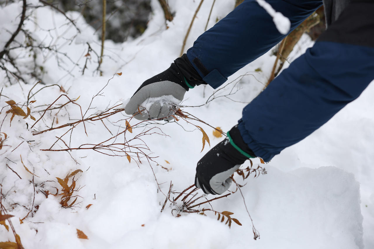 Kerbl Gants d'hiver Winter Lite