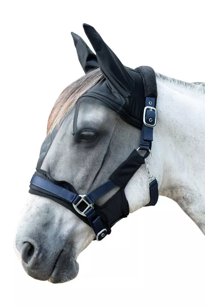 Muselière Pour Cheval Y-H - Ralentit Le Pâturage Efficacement - Noire Ou Violette, Tailles XS Poney, Cob Ou Full