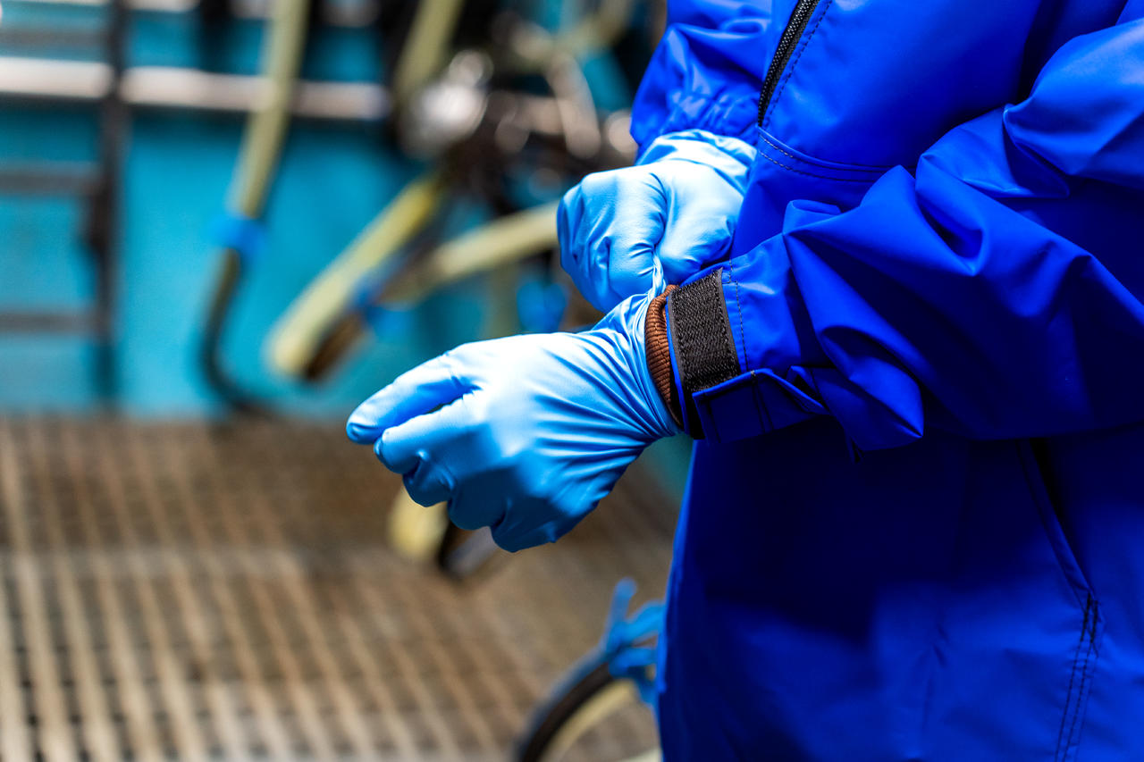 WAHL-Hausmarke Gants à usage unique Nitrile Top