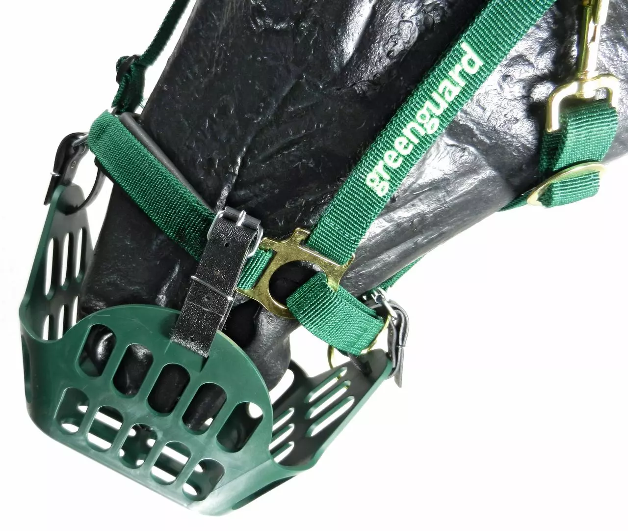 greenguard Panier à muselière