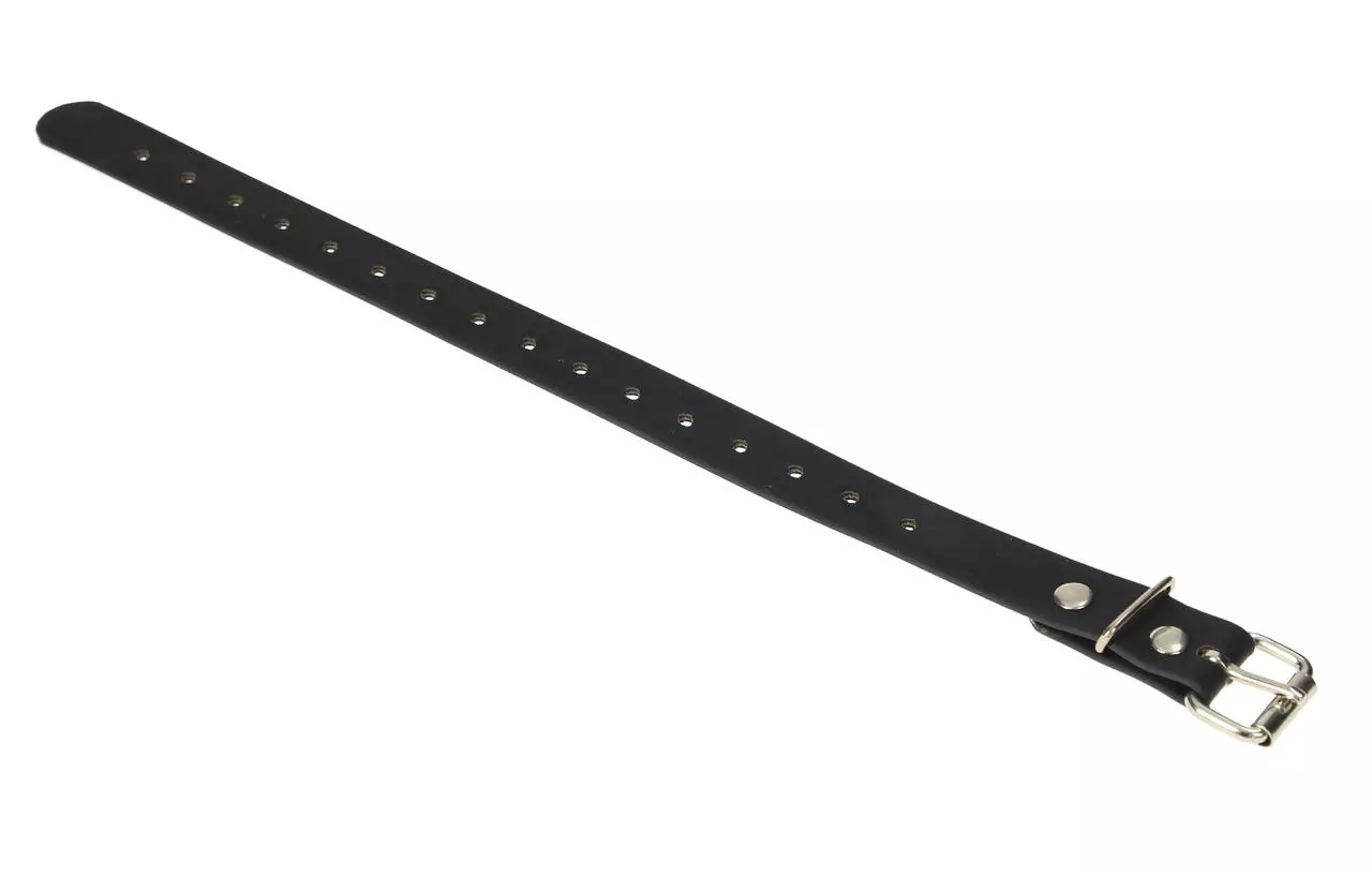 greenguard Sangle de rechange pour panier muselière 