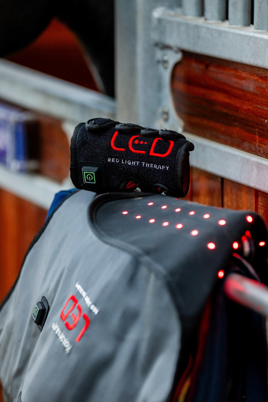 Horseware Manteau de Thérapie par Lumière Rouge LED pour Animaux de Compagnie