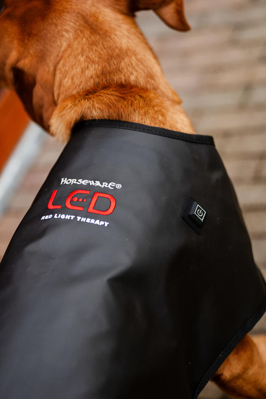 Horseware Manteau de Thérapie par Lumière Rouge LED pour Animaux de Compagnie