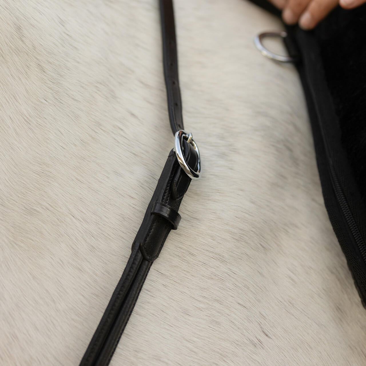 QHP Collier d'encolure en cuir Liberta