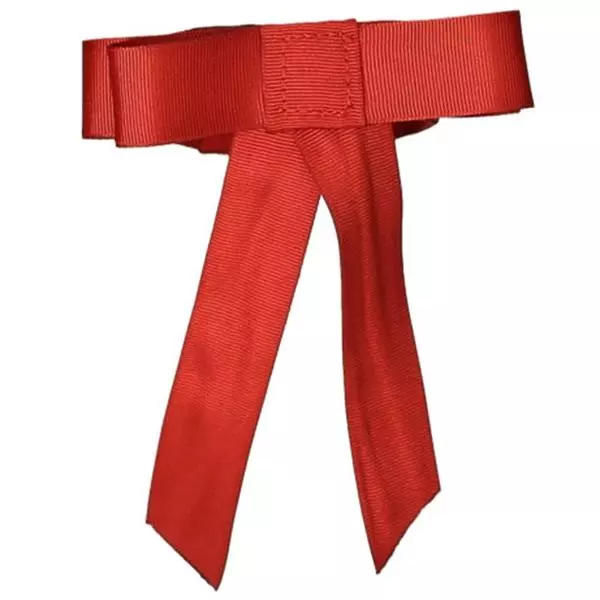 Nœud de ruban rouge avec scratch pour avertir