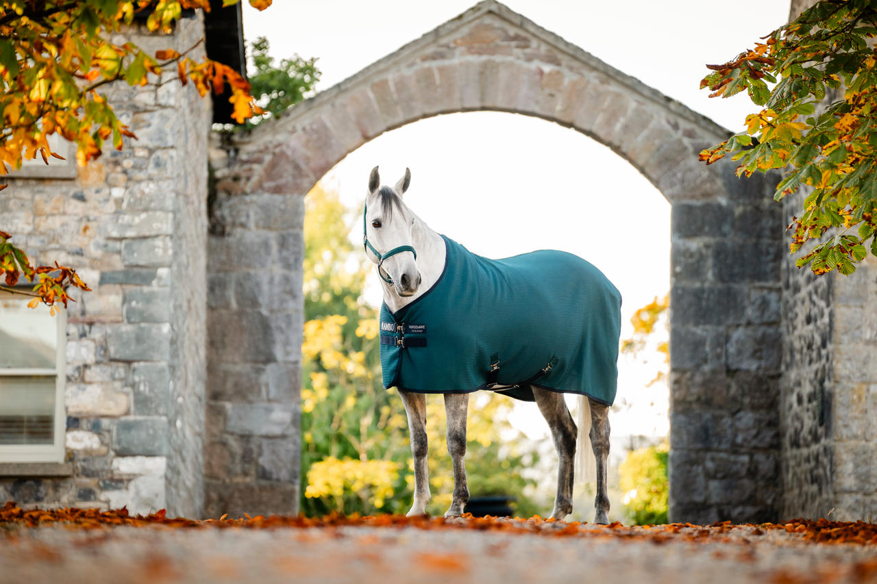 Horseware Chemise Séchante Rambo®Techni-Waffle